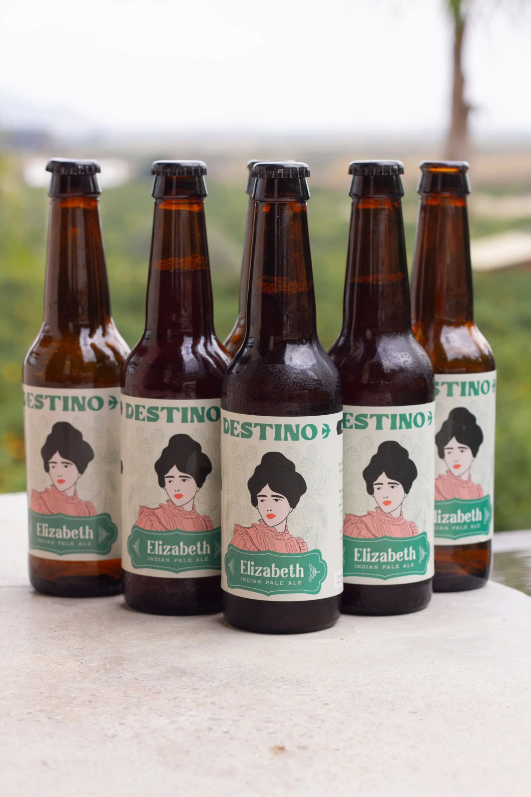 Pack IPA | Elizabeth - Imagen 2