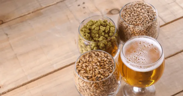 Los cuatro ingredientes de la cereza aresanal. Lúpulo, levadura, aguay malta.